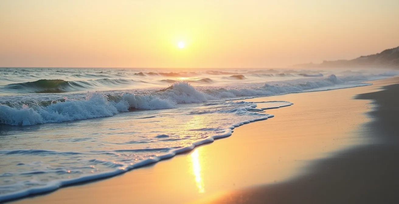 Soft golden light illuminating calm sea and shoreline at Île de Ré